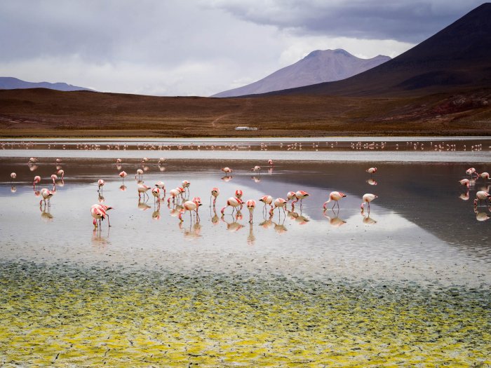 La travesía de Sudamérica